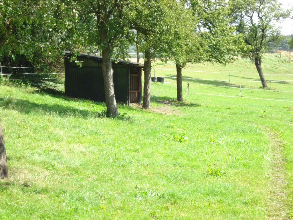 Box/en frei