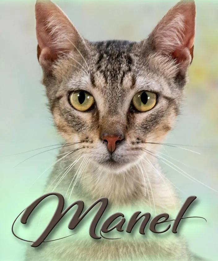 Manel - jung und verspielt