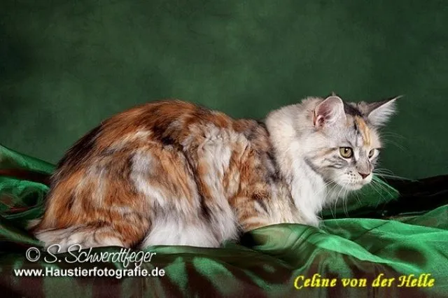Int.Ch. Celine von der Helle