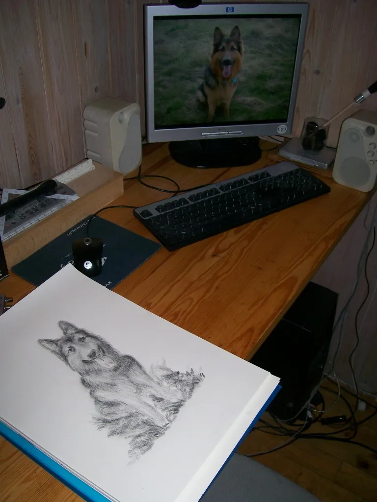 Tierportraits auf Bestellung, Zeichnungen, Aquarell,...