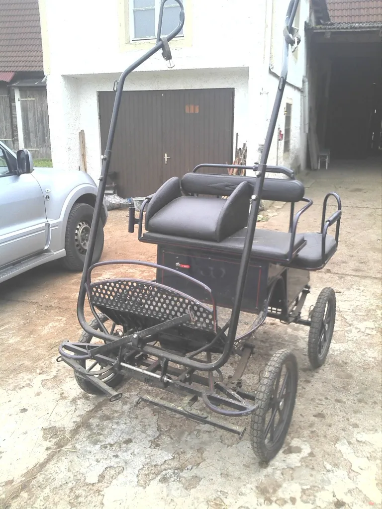 Günstige Kutsche - Pony Marathonwagen (Shetty-Kleinpferdkutsche)