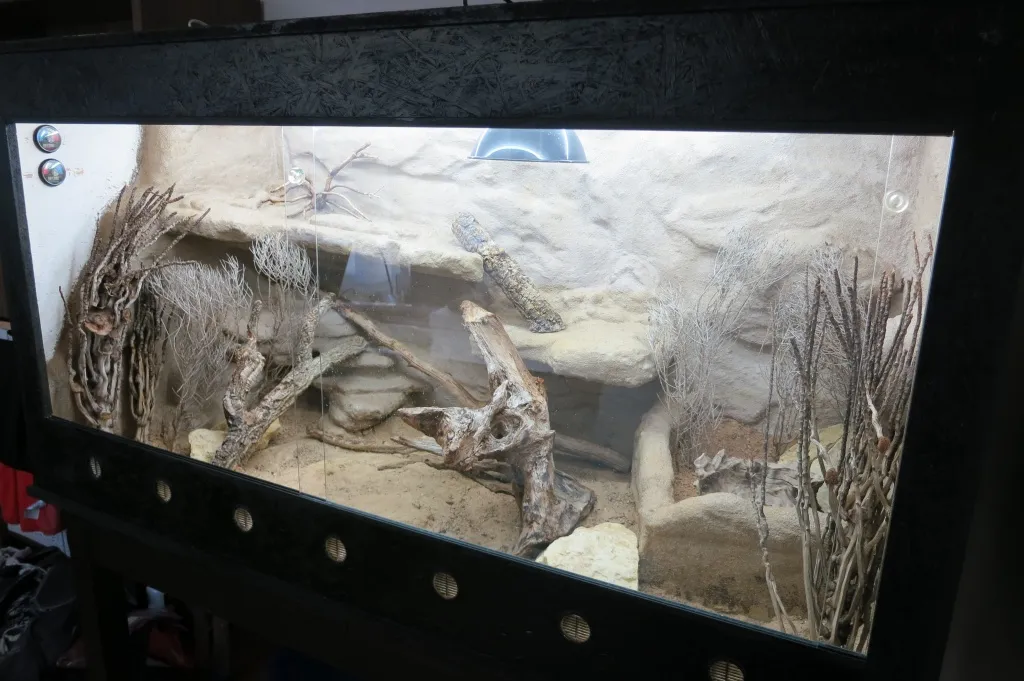 OSB Wüstenterrarium 155x75x80 (lxbxh)