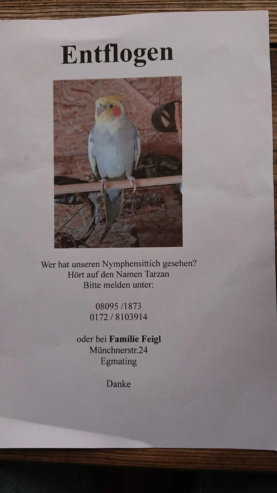 Entflogen in Egmating