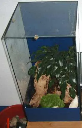 zwei alte Aquarien für Bastler zu verkaufen