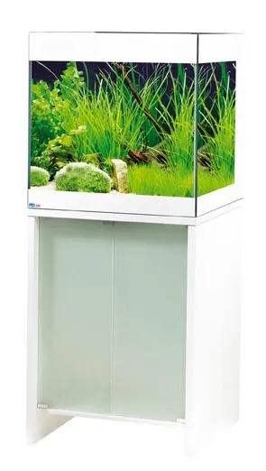 Aktion - Aquariumkombination Q1
