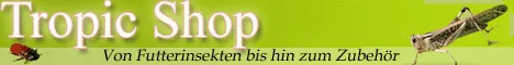 Biete Futterinsekten