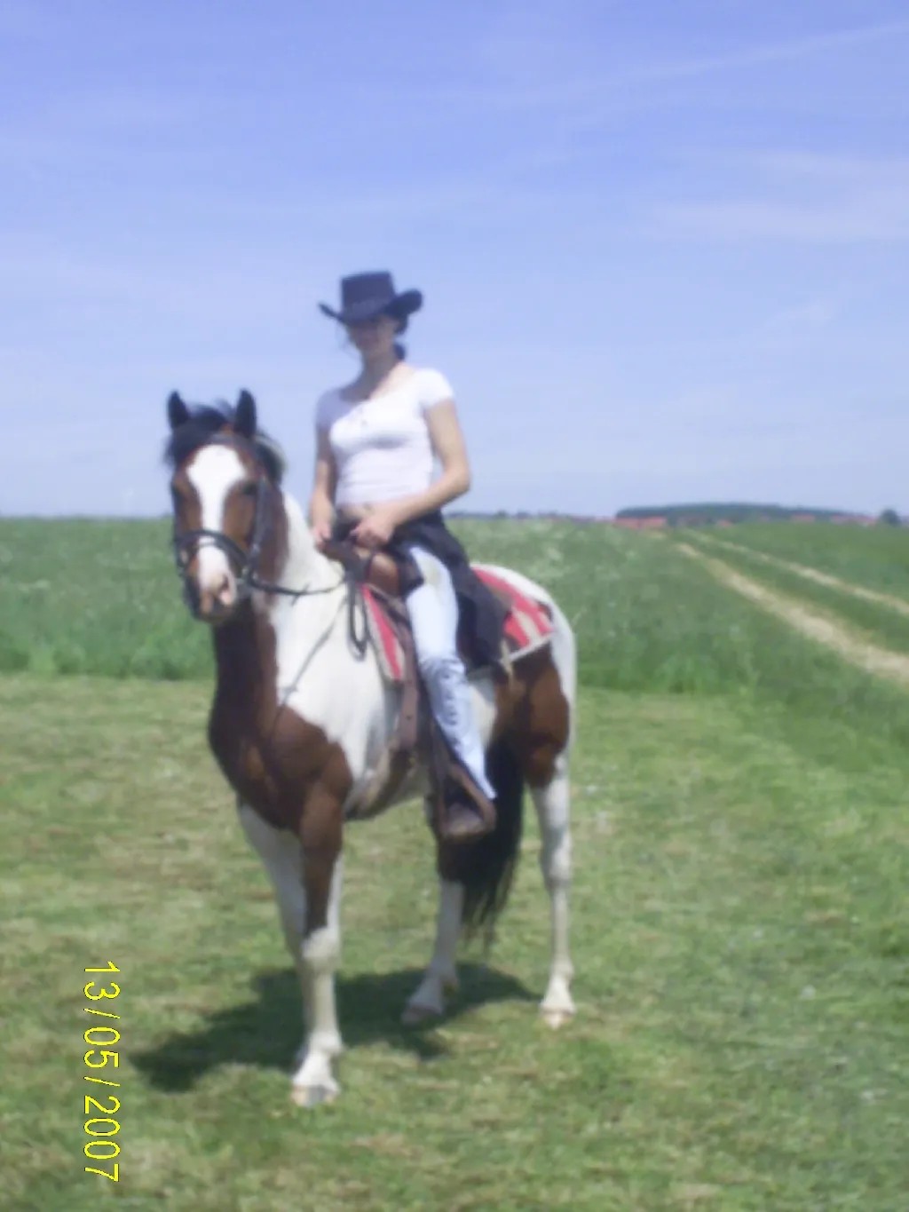 biete Reitbeteiligung – Bild 1