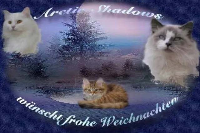Nevas & Sibirer from Arctic Shadows