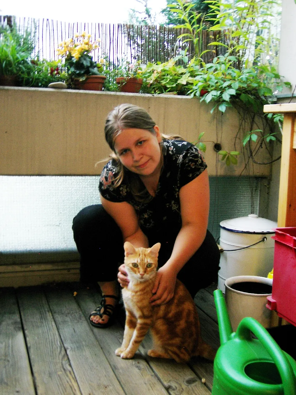 Liebevolle Katzensitterin hat noch Termine frei! München und Umgebung