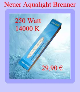 Aqualight HQI Brenner 250 Watt 14000 K TS-Fc2
