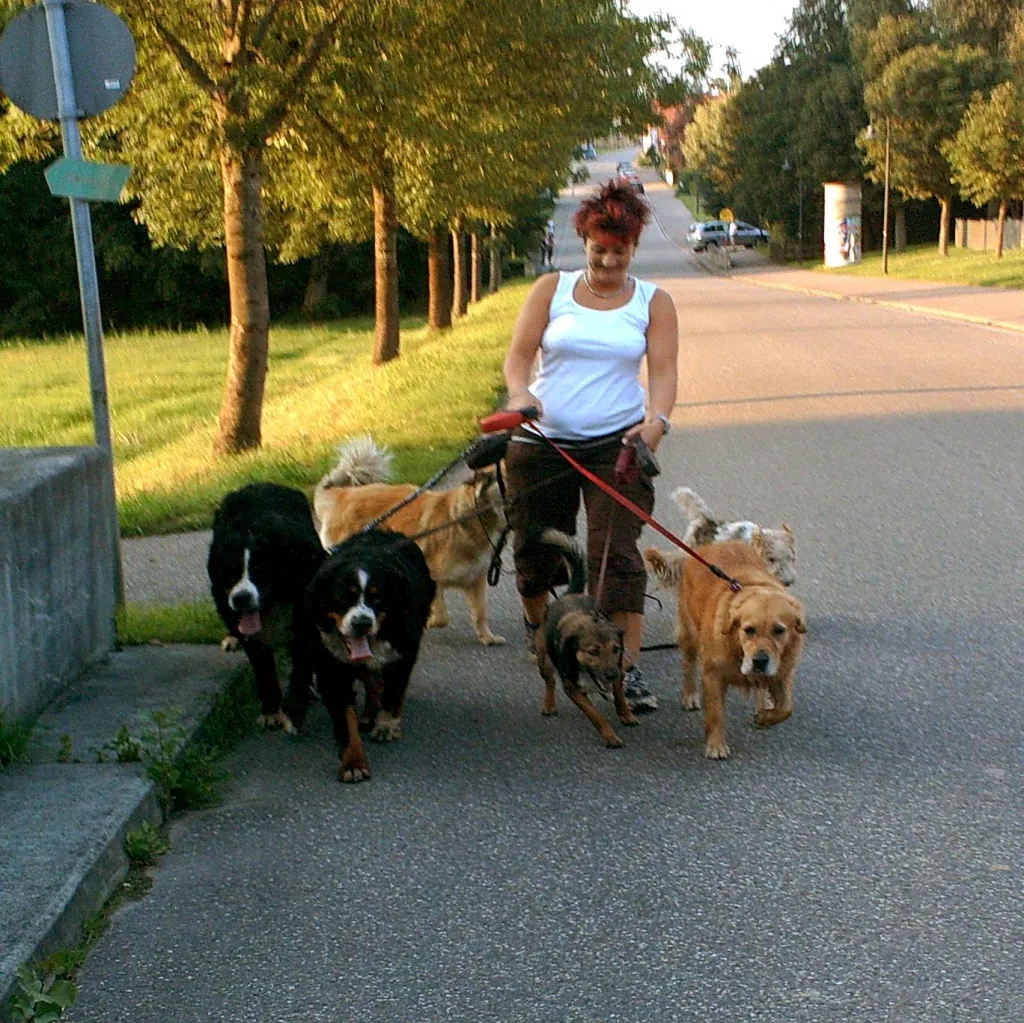 Tierpension für Hund, Katze, Maus u.a.