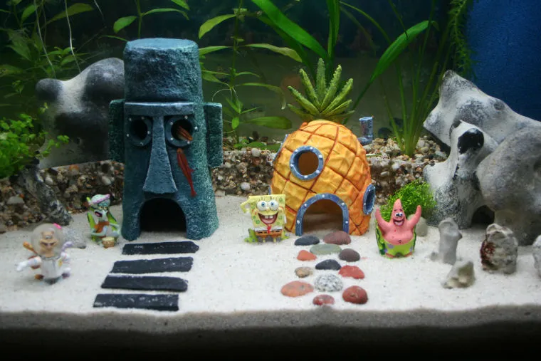 Suche Spongebob Zubehör und mehr! :)