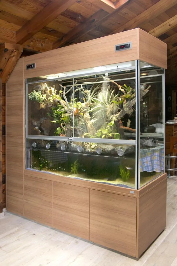 Kleinanzeige Aquaterrarium / Paludarium für Krokodilschwanzechsen, Rotaugen-Busc