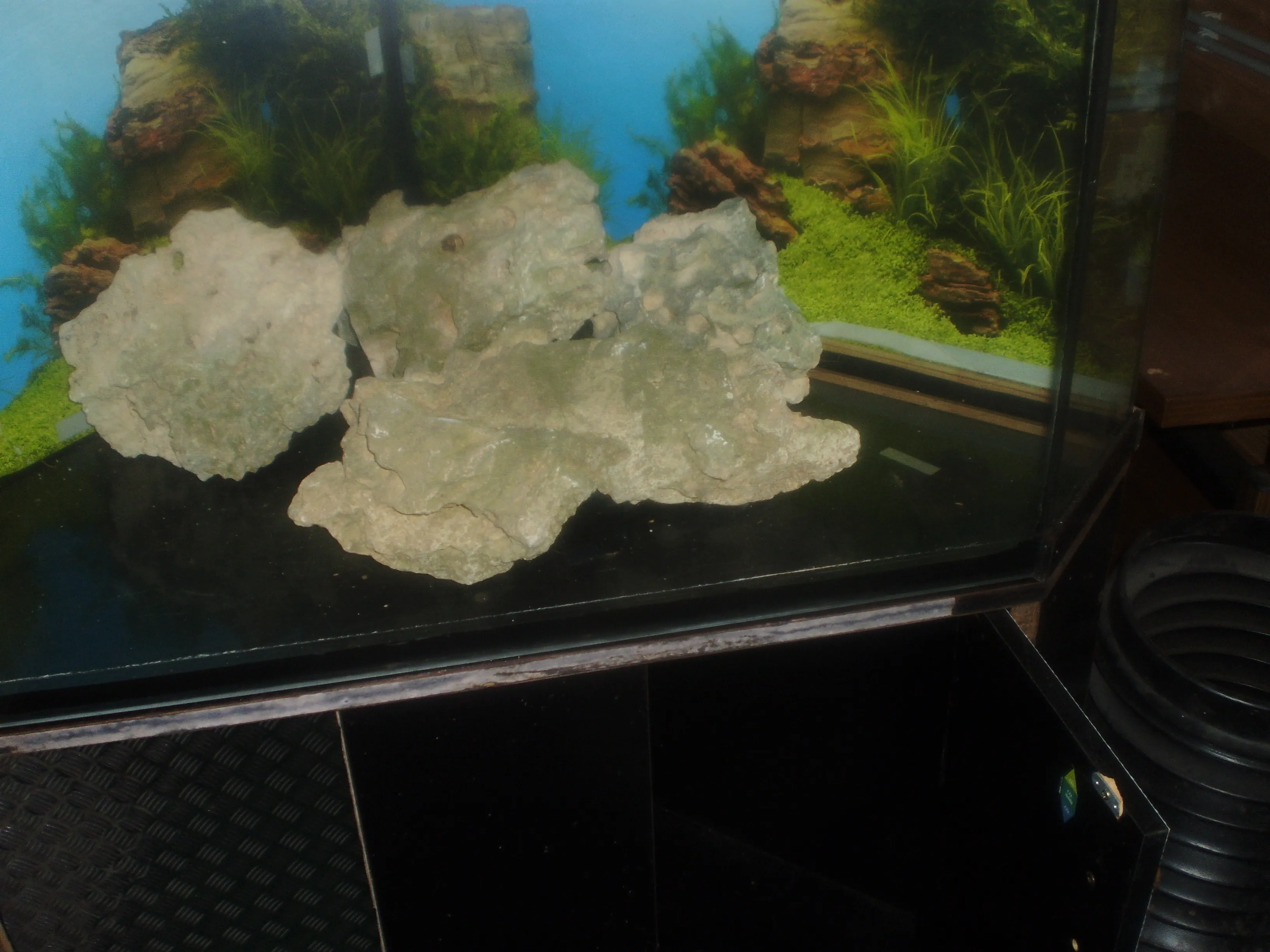 biete eckaquarium