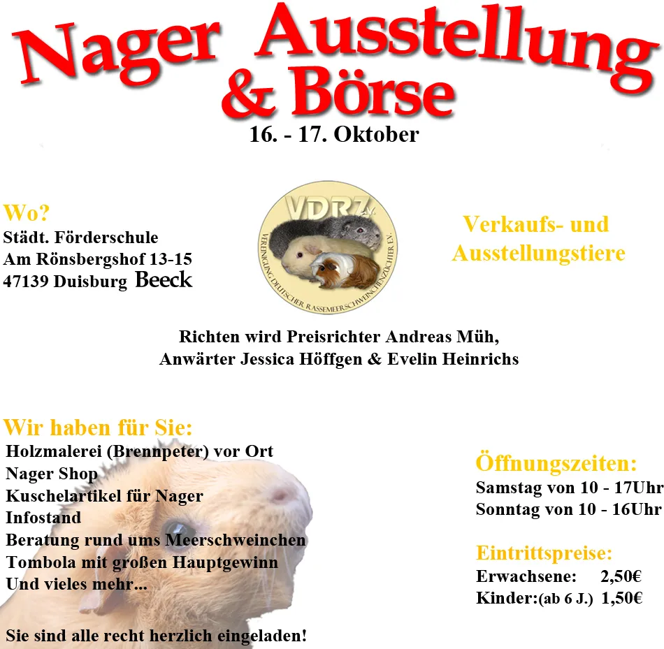 Rassemeerschweinchen Ausstellung für die ganze Familie  16 und 17 Oktober 2010 F