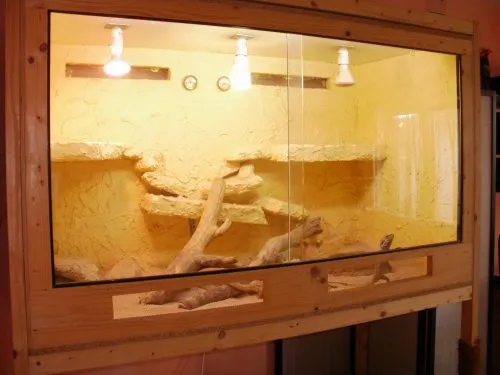 3 Bartagamen + Terrarium