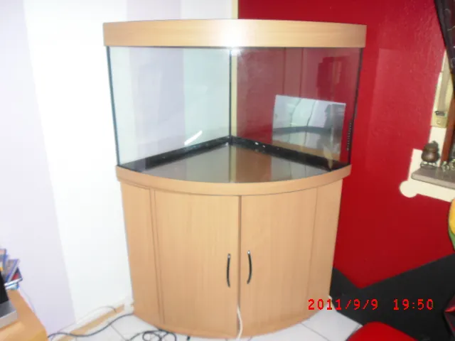 schönes Trigon-Panorama Aquarium Buche/ - mit kompletten -Fischbesatz