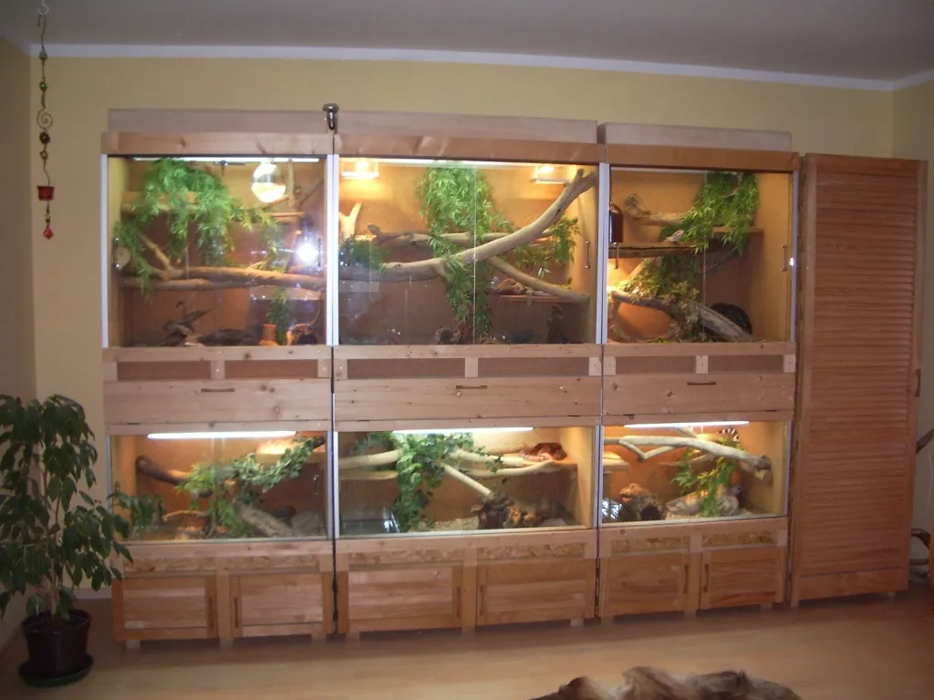 Terrarienwand/Terrarium zu verkaufen!
