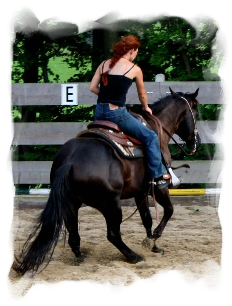 ***Black is beautiful*** Lackschwarzer QUarterhose Deckhengst von GM Freckles