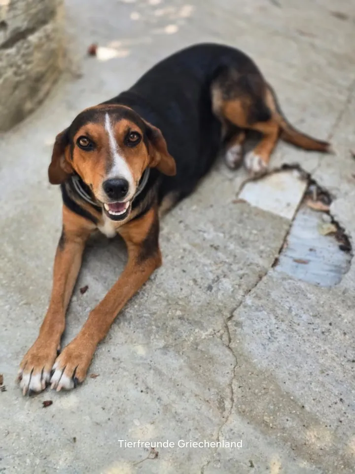 Lotta – eine kleine Menschenfreundin ❤️