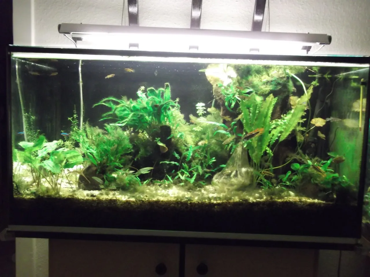 Vollglas-Aquarium 250 Liter