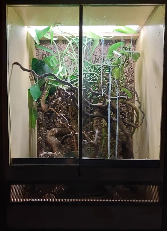 verkaufe Hochterrarium ca. 60x60x90 cm