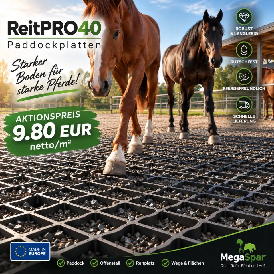 Extrem robuste Paddockplatten für Pferde & Rasengitter kaufen ReitPRO 40 – Bild 1