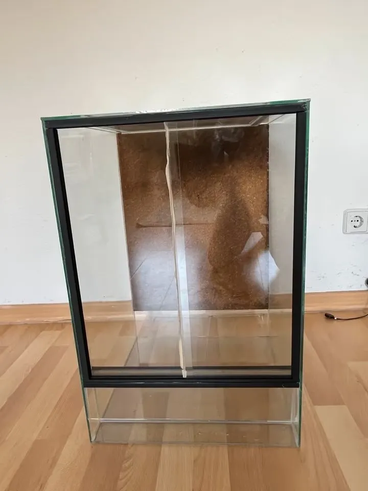 Glasterrarium 40x40x60 cm mit Korkrückwand und großzügiger Lüftung. 35 nur an Selbstabholer