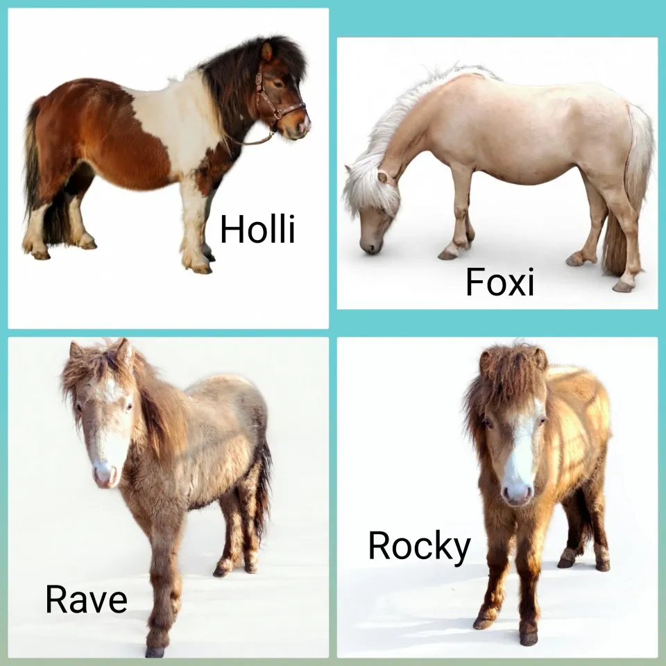 Ponys in Sonderfarbe