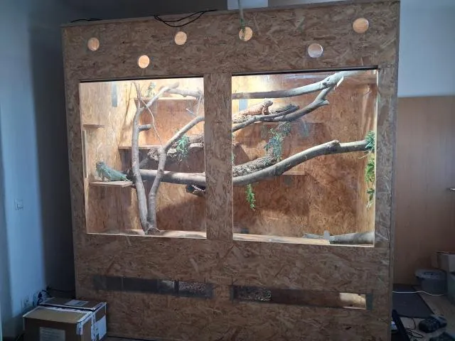 Terrarium Eigenbau mit einer 240 cm Länge, 150 cm Tiefe, 240 cm Höhe, 2 Frontgla