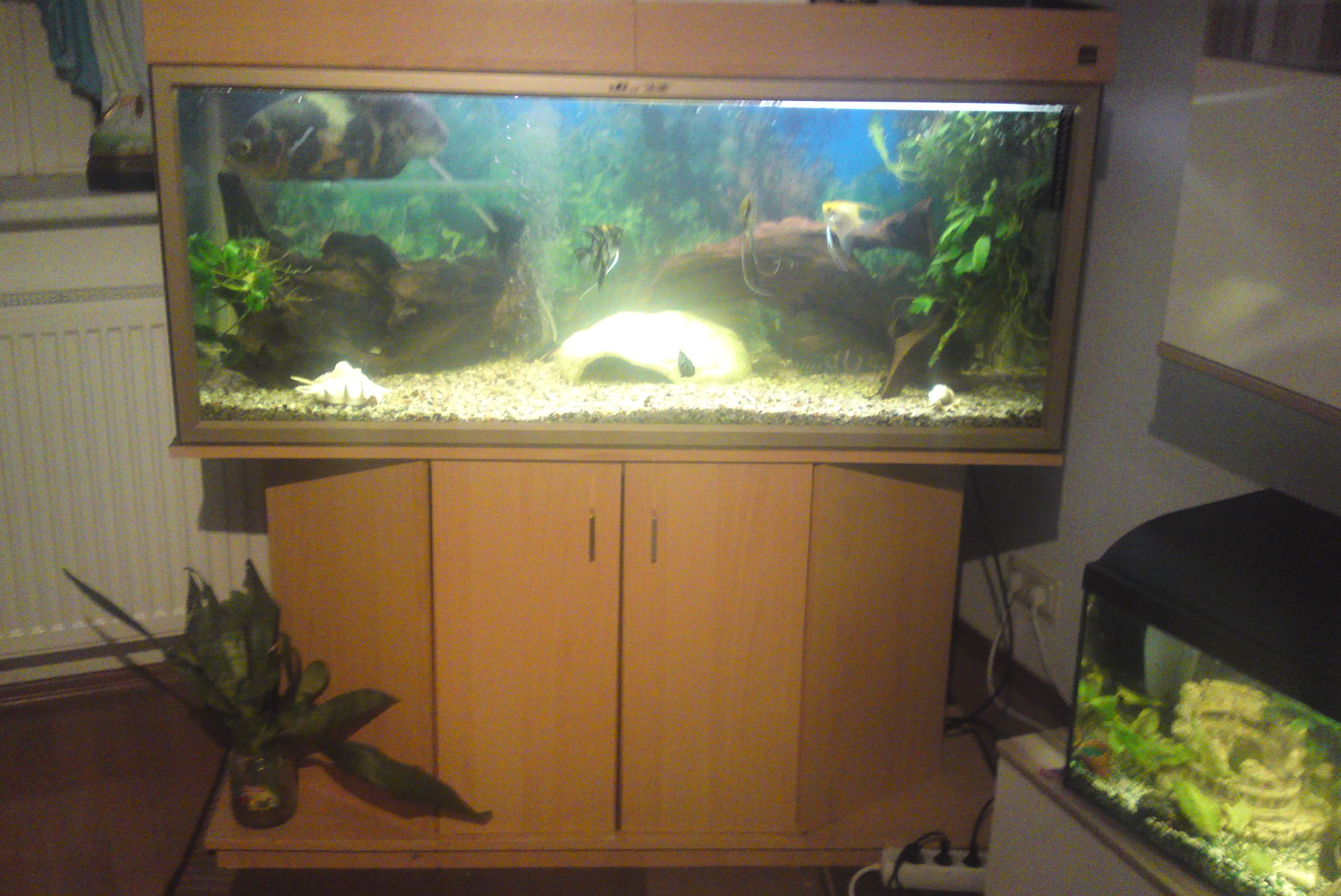 Aquarium auflösung 250l becken mit fische unterschrank und 8 weiteren becken und – Bild 1