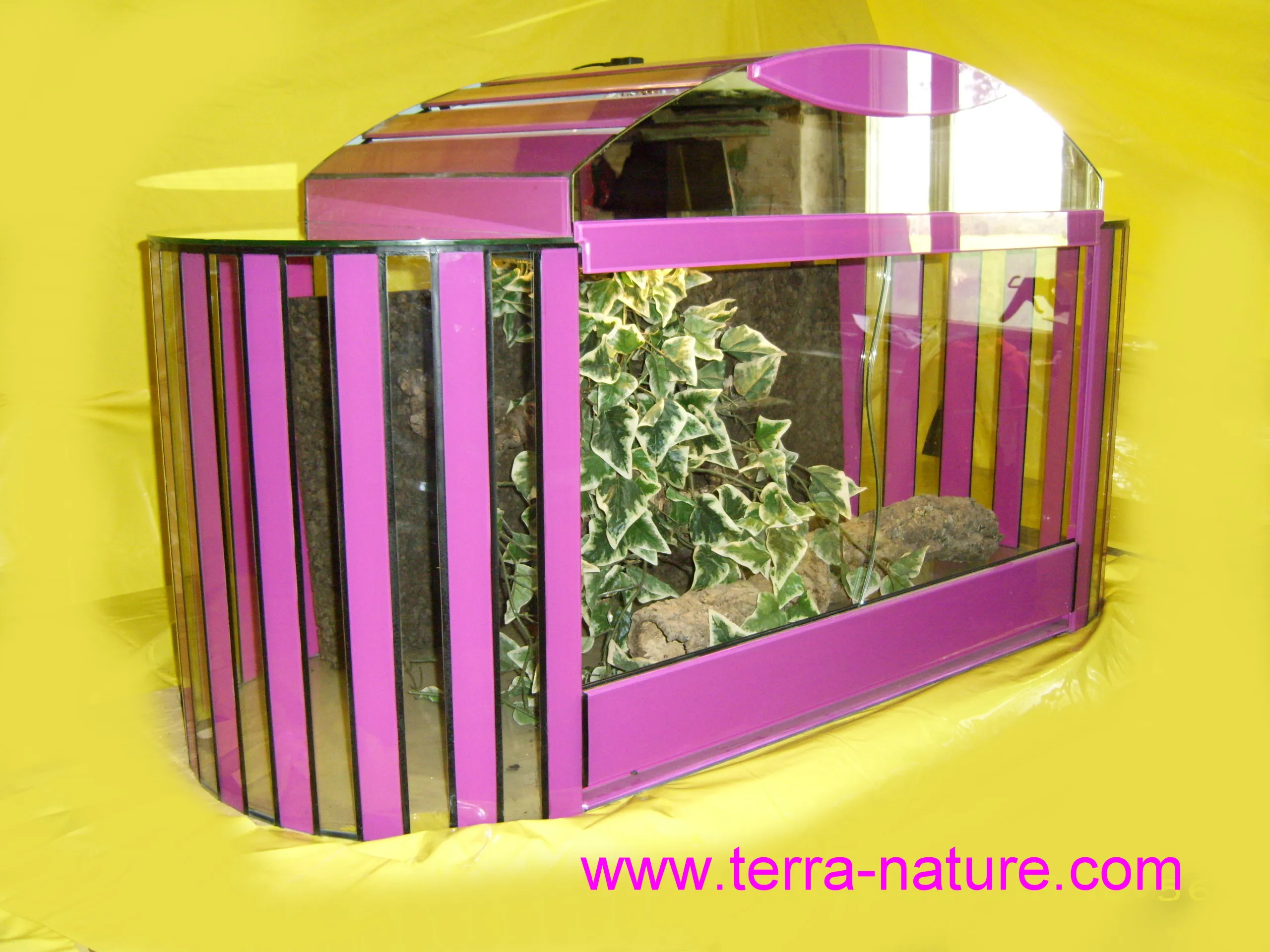 Terrarium Terrarien in vielen Formen + Farben aus Glas