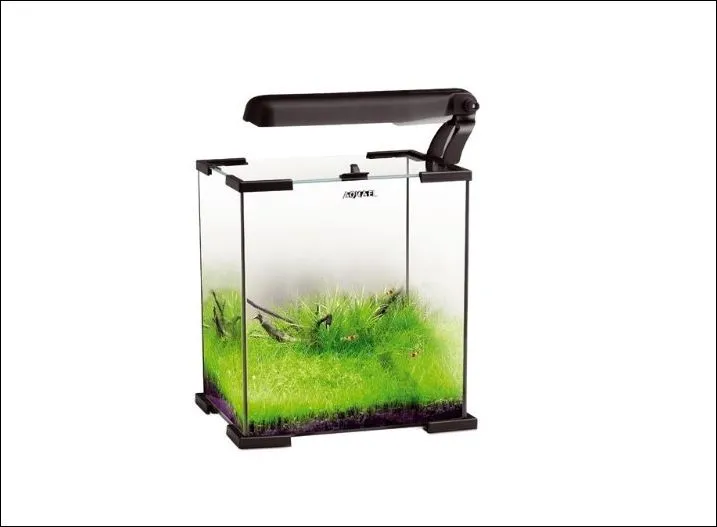 Nano Aquarium 10 Liter von Aquael mit komplettem Zubehör zu verkaufen