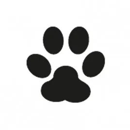 Führe Ihren Hund aus!