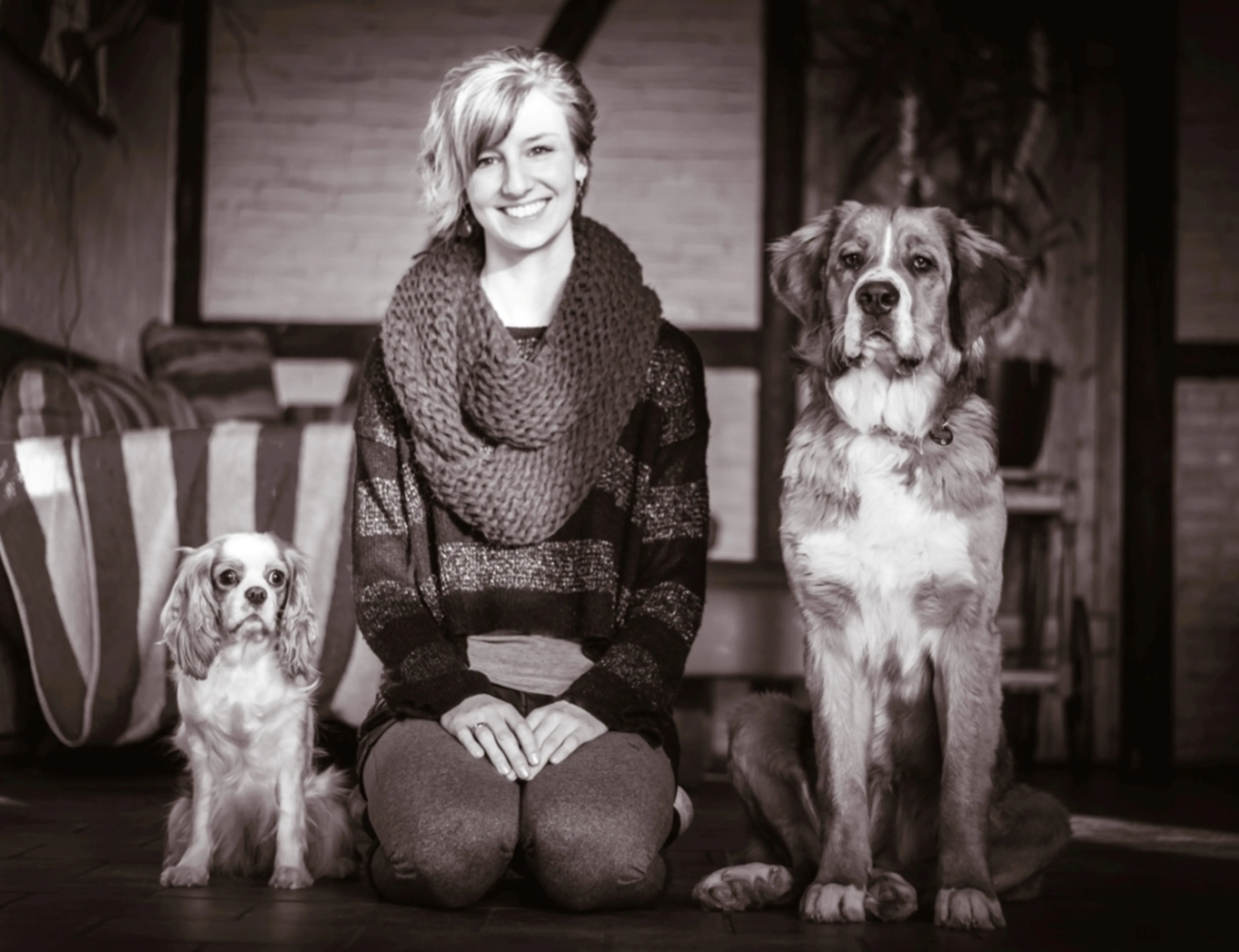 Do It - Dogs individuell training