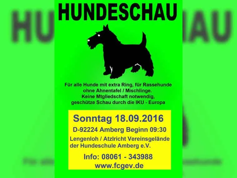 Oberpfälzer - Siegerschau CAC am 18. September 2016