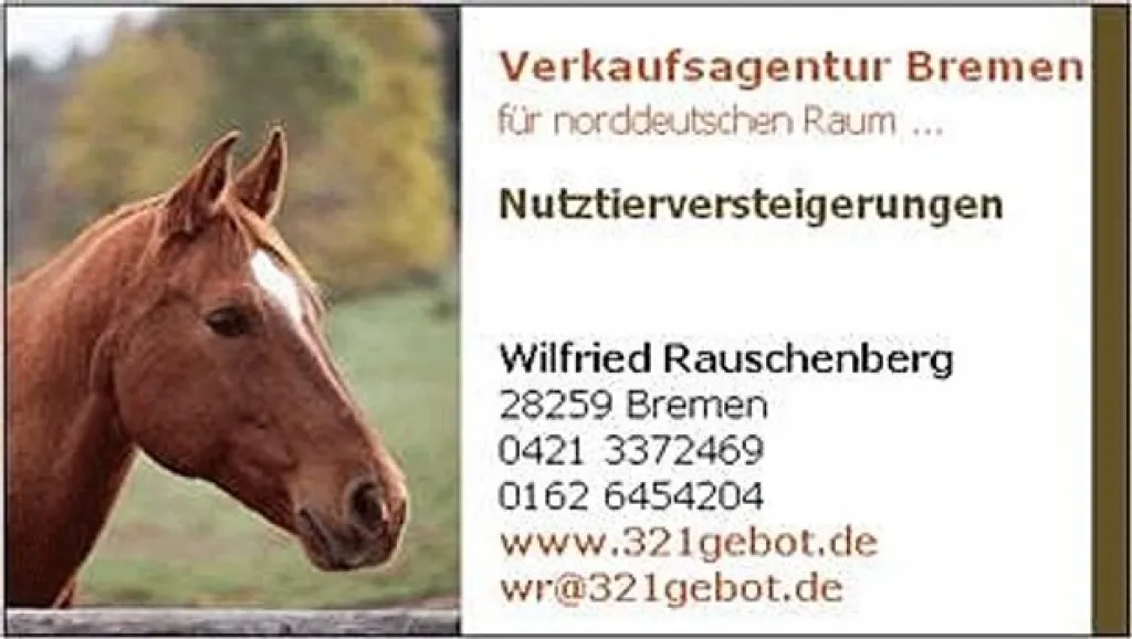 Versteigern Sie Ihre Tiere im Auktionshaus