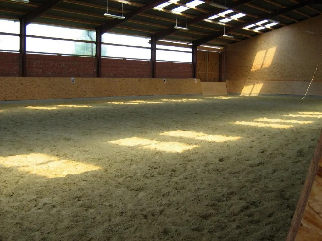 Stallgemeinschaft in Castrop-Rauxel hat noch Boxen frei! – Bild 1