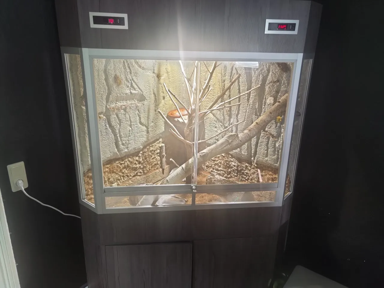 Wunderschönes Delta-Eck Terrarium+ Unterschrank
