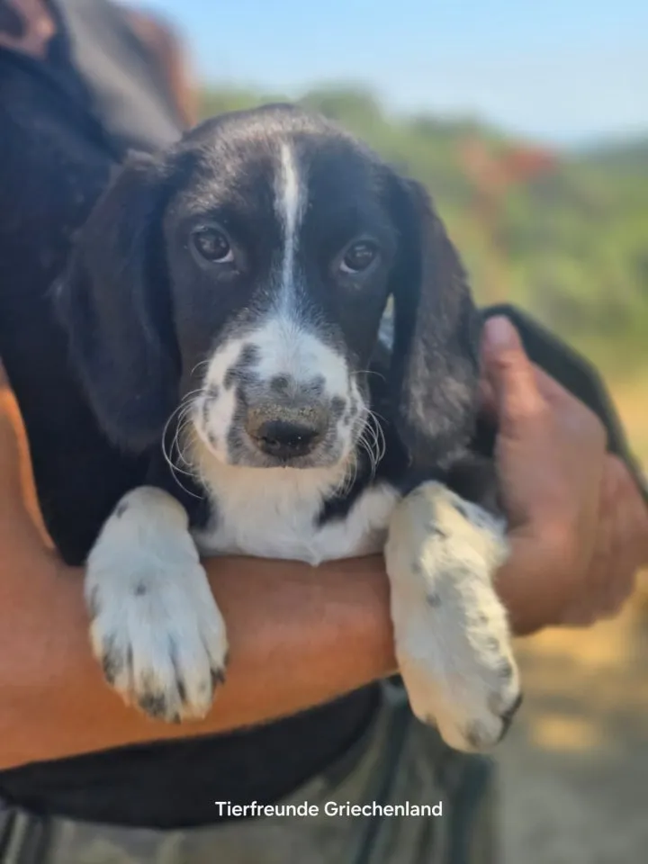 Abby – kleine Entdeckerin ❤️