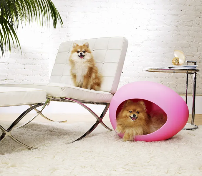 pEi Pod Dog House für Chihuahuas und andere kleine Hunde
